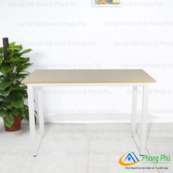 Bàn chân sắt BGT01